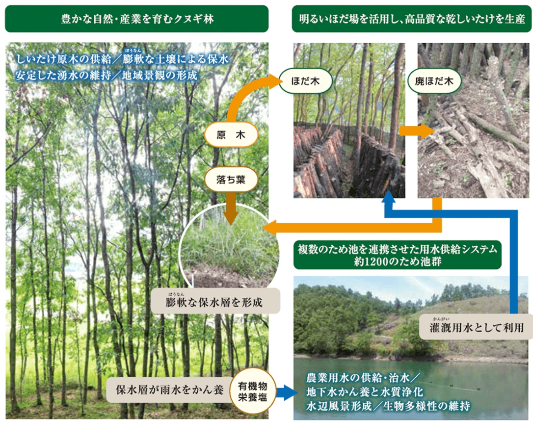 世界農業遺産（GIAHS）とは